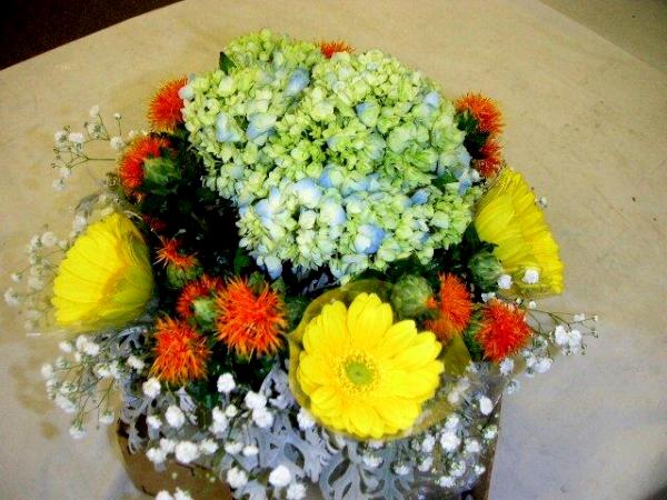 Round arrangement again to beginners