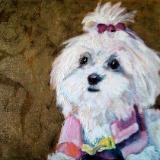 Paws in Paint : Pet Portraiture