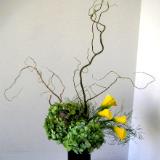 Ikebana featuring curly branch