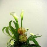 Ikebana Short Seminar Program for $98