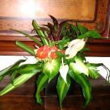 green leaf arrangement, photo credit: Royal Hawaiian Hotel Honolulu