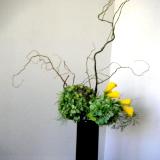 Linear line found in Ikebana arrangement