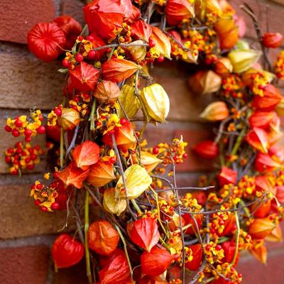photo from Better Homes & Gardens