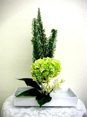 Basic Ikebana Arrangement