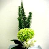 Basic Ikebana Arrangement