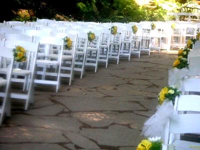 Line of chairs decorated with same flowers Line of chairs decorated with same flowers