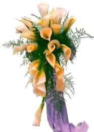 cascade type bouquet cascade type bouquet