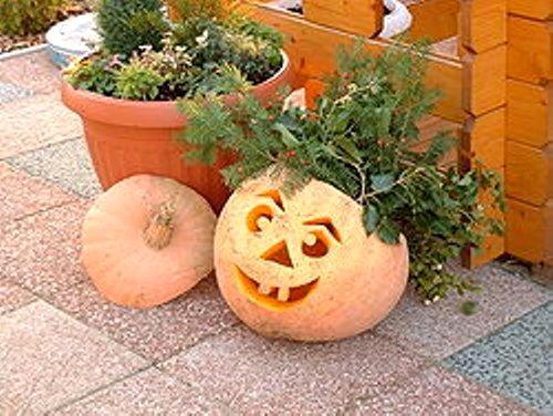 Halloween pumpkin decoration, photo credit: Wikipedia