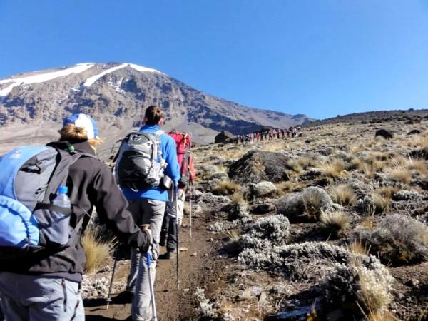 Kilimanjaro Travel Adventure Safaris Ltd Kilimanjaro Travel Adventure Safaris Ltd