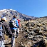Kilimanjaro Travel Adventure Safaris Ltd Kilimanjaro Travel Adventure Safaris Ltd