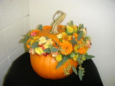 pumpkin arrangement