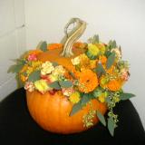 Pumpkin Arrangement Pumpkin Arrangement