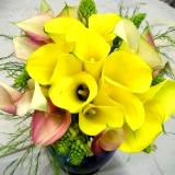 All round arrangement All round arrangement