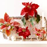 Poinsettia: Photo from Better Homes & Gardens