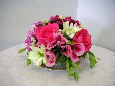 cup and saucer arrangement cup and saucer arrangement