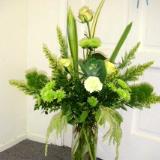 green leaf arrangement