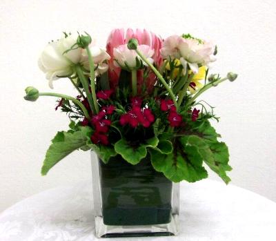 cubic glass container arrangement cubic glass container arrangement