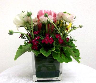 cubic glass container arrangement